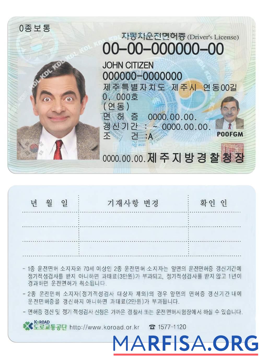 Printable South Korea driving license sample
